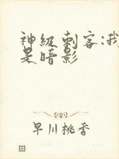 神级刺客:我即是暗影封面