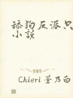 舔狗反派只想苟小说