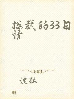 总裁的33日索情封面