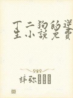 丁二狗的逆袭人生小说免费阅读