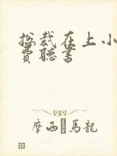 总裁在上小说免费听书