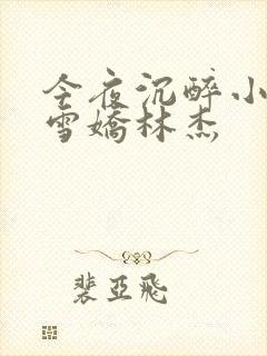 今夜沉醉小说段雪娇林杰