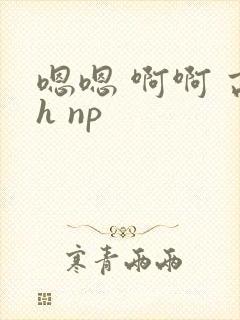 嗯嗯 啊啊 高h np