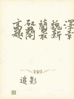 高启兰魏泽南笔趣阁最新章节