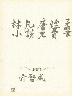 林凡唐烟柔最新小说免费笔趣阁