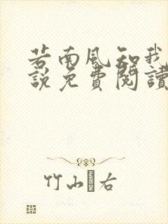 若南风知我意小说免费阅读无弹窗