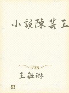 小说陈芸王富贵