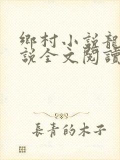 乡村小说龙根小说全文阅读封面