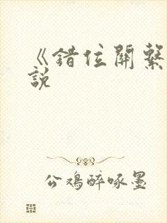 《错位关系》小说