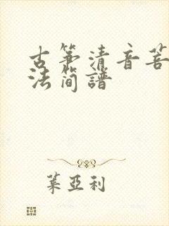 古筝清音菩提指法简谱