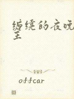 缠绕的夜晚双男主