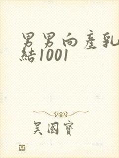 男男向产乳文小结1001封面