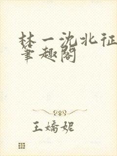 林一沈北征小说笔趣阁