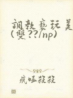 调教亵玩美人受(双??/np)