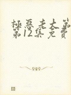 极恶老大第二季第12集免费观看封面