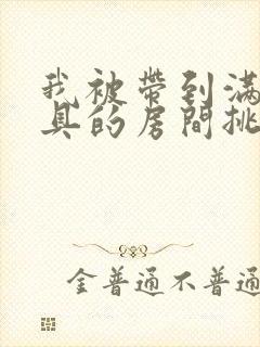 我被带到满是玩具的房间挑调游戏