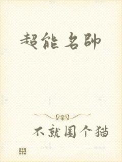 超能名帅封面