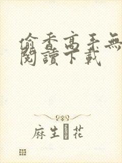 偷香高手无删减阅读下载封面