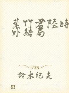 叶竹君陆时琛番外结局