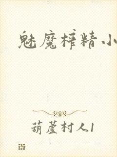 魅魔榨精小说封面