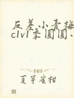 反差小青梅不经c1v1季圆圆小说