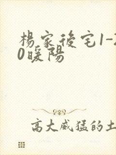 杨家后宅1-20暖阳