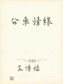 公车情缘