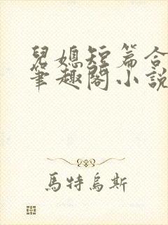 儿媳短篇合集_笔趣阁小说奇思妙想封面