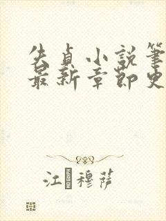 失贞小说笔趣阁最新章节更新时间封面