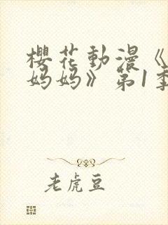 樱花动漫《魅魔妈妈》第1季封面