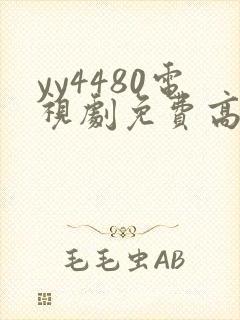 yy4480电视剧免费高清在线观看封面