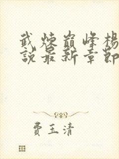 武炼巅峰杨开小说最新章节阅