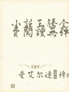 小说王腾全文免费阅读无弹窗