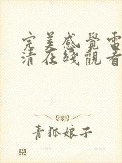 完美感觉电影高清在线观看封面