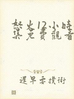 怒火12小时全集免费观看完整版高清封面