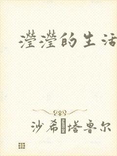 滢滢的生活日记封面