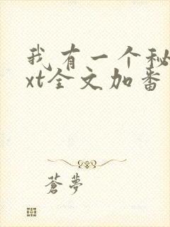 我有一个秘密txt全文加番外