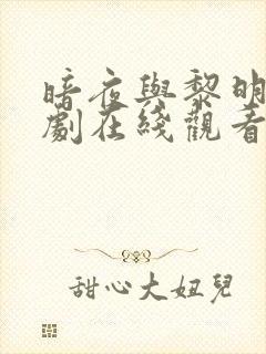 暗夜与黎明电视剧在线观看高清全集封面