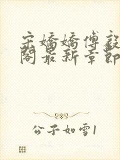 宋娇娇傅毅笔趣阁最新章节