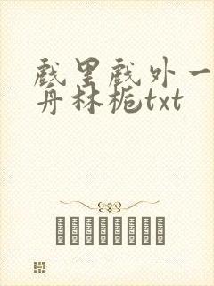 戏里戏外一叶孤舟林栀txt封面