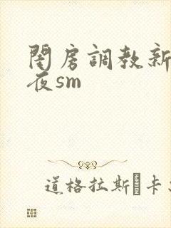 闺房调教新婚之夜sm封面