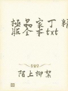 极品家丁 精校版全本txt