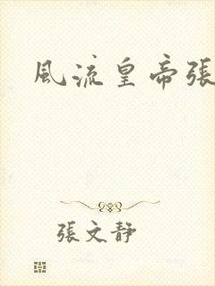 风流皇帝张无忌