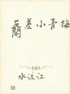 反差小青梅笔趣阁