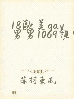 18欧美gay男男1069视频