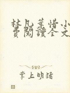 林凡叶惜小说免费阅读全文最新章节封面