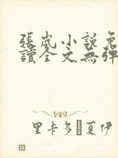 张岚小说免费阅读全文无弹窗