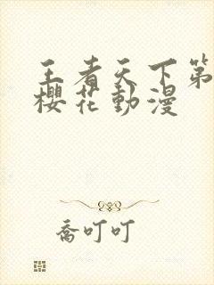 王者天下第六季樱花动漫