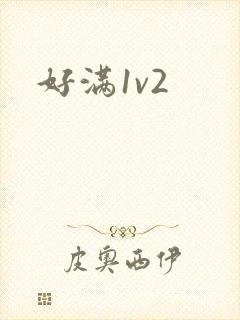 好满1v2