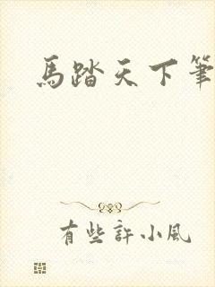 马踏天下笔趣阁